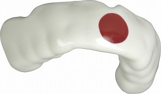 マウスガード